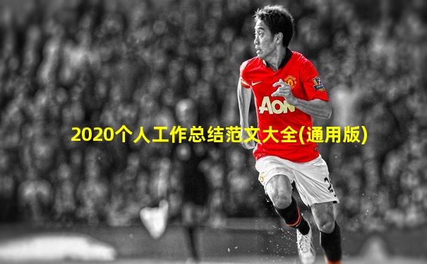 2020个人工作总结范文大全(通用版)