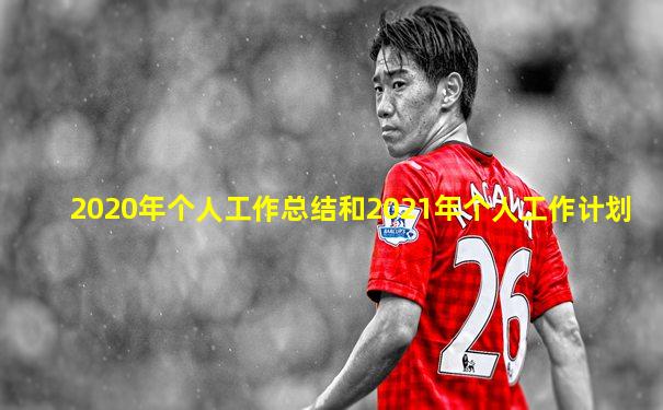 2020年个人工作总结和2021年个人工作计划