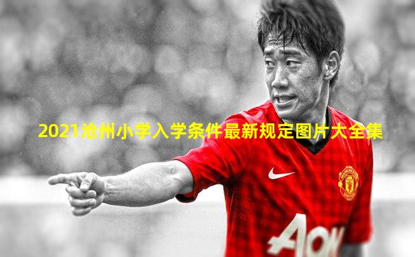 2021沧州小学入学条件最新规定图片大全集