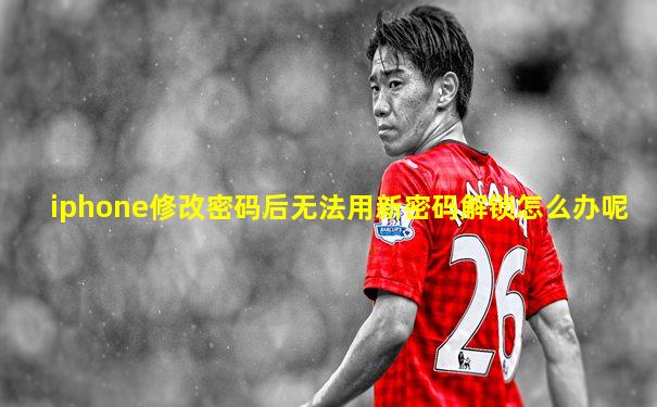 iphone修改密码后无法用新密码解锁怎么办呢