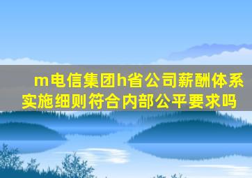 m电信集团h省公司薪酬体系实施细则符合内部公平要求吗