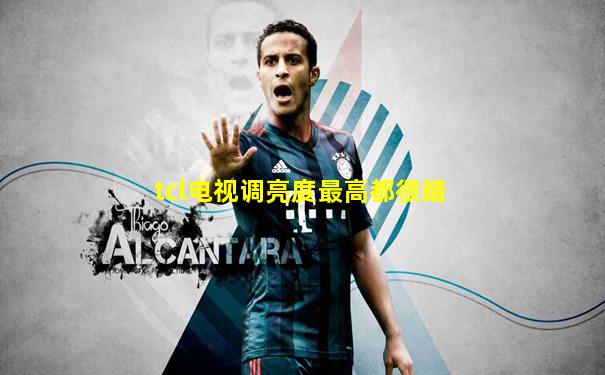 tcl电视调亮度最高都很暗