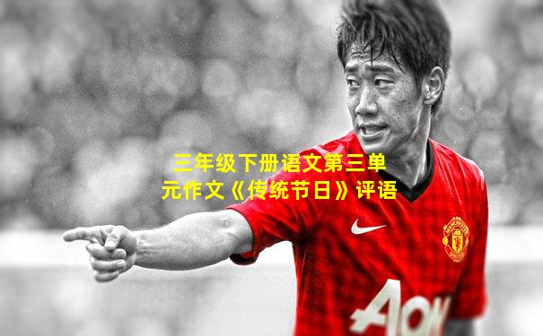 三年级下册语文第三单元作文《传统节日》评语