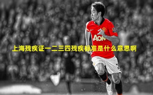 上海残疾证一二三四残疾标准是什么意思啊