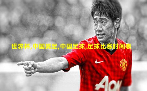 世界杯,中国男足,中国足球,足球比赛时间表