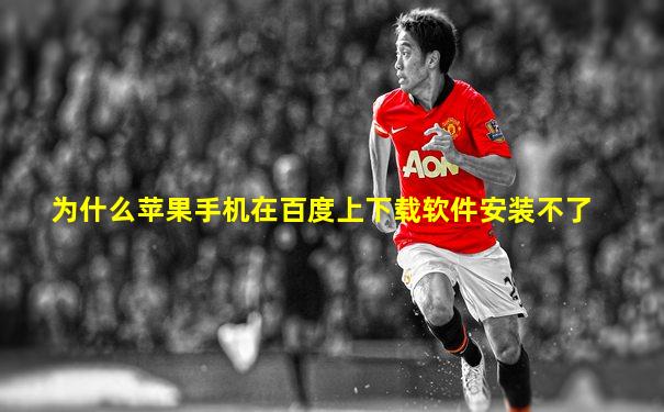为什么苹果手机在百度上下载软件安装不了