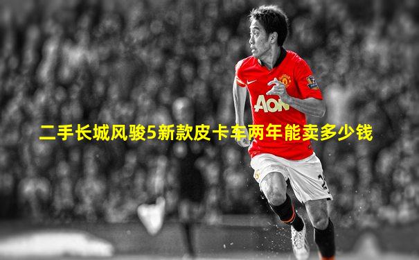 二手长城风骏5新款皮卡车两年能卖多少钱