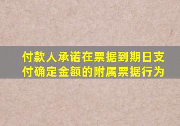 付款人承诺在票据到期日支付确定金额的附属票据行为