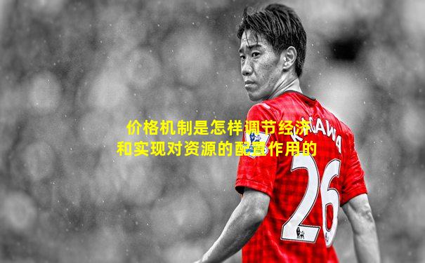 价格机制是怎样调节经济和实现对资源的配置作用的