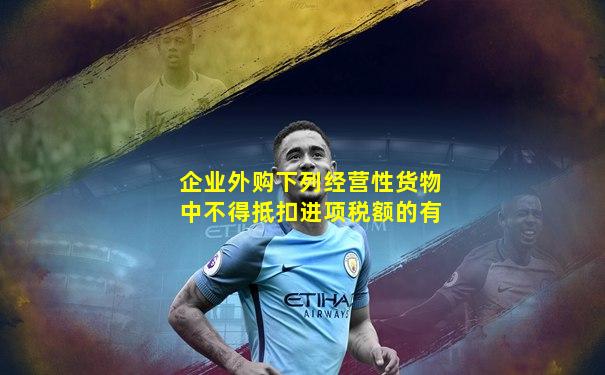 企业外购下列经营性货物中不得抵扣进项税额的有