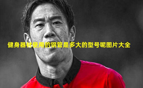 健身器材使用的钢管是多大的型号呢图片大全