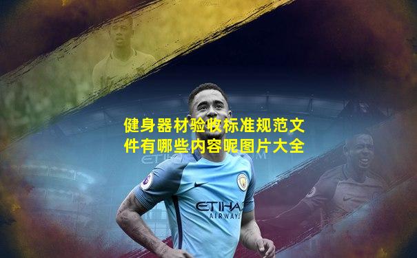 健身器材验收标准规范文件有哪些内容呢图片大全