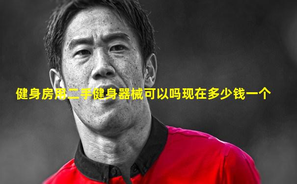 健身房用二手健身器械可以吗现在多少钱一个