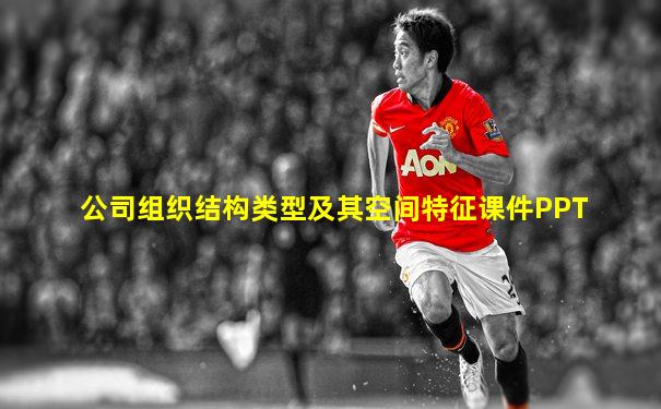 公司组织结构类型及其空间特征课件PPT