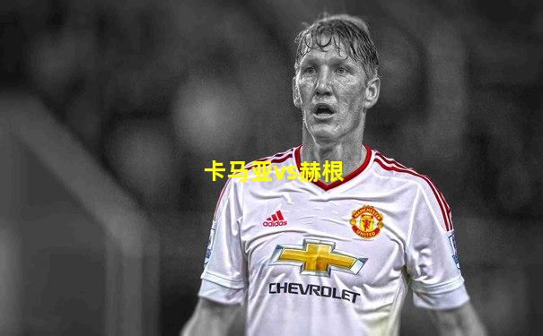 卡马亚vs赫根
