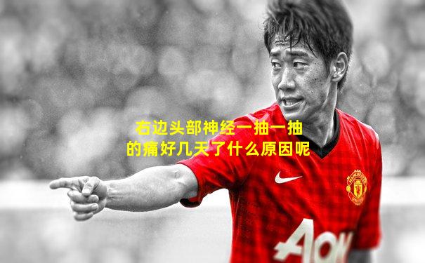 右边头部神经一抽一抽的痛好几天了什么原因呢