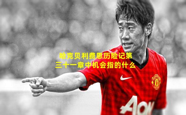 哈克贝利费恩历险记第三十一章中机会指的什么