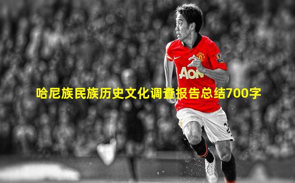 哈尼族民族历史文化调查报告总结700字