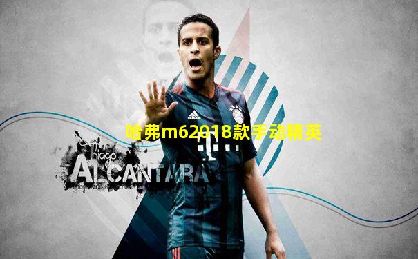 哈弗m62018款手动精英