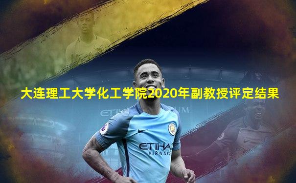 大连理工大学化工学院2020年副教授评定结果
