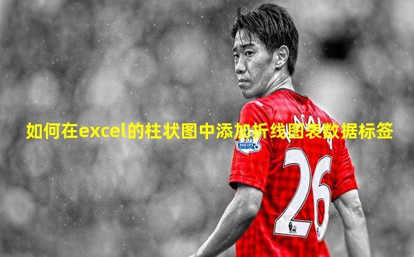 如何在excel的柱状图中添加折线图表数据标签