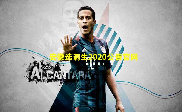 安徽选调生2020公告官网