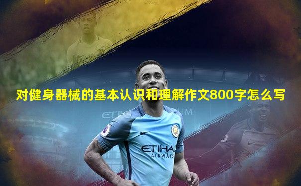 对健身器械的基本认识和理解作文800字怎么写