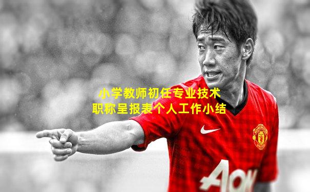 小学教师初任专业技术职称呈报表个人工作小结