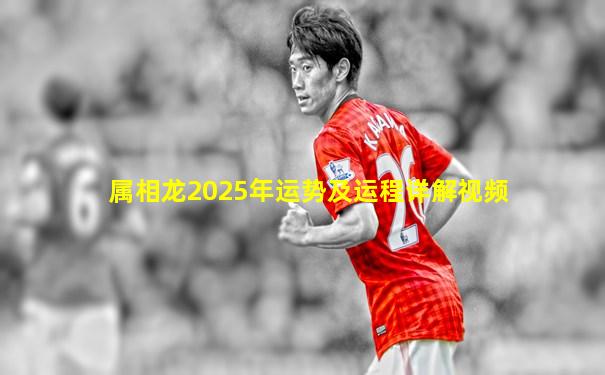 属相龙2025年运势及运程详解视频