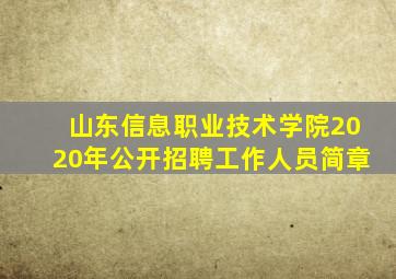 山东信息职业技术学院2020年公开招聘工作人员简章