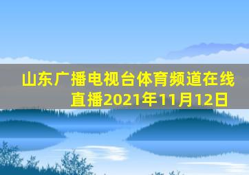 山东广播电视台体育频道在线直播2021年11月12日