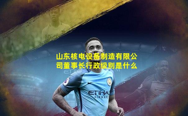 山东核电设备制造有限公司董事长行政级别是什么