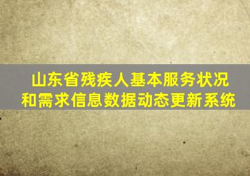 山东省残疾人基本服务状况和需求信息数据动态更新系统