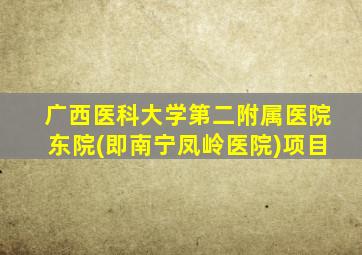 广西医科大学第二附属医院东院(即南宁凤岭医院)项目