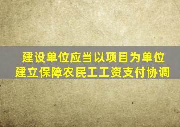 建设单位应当以项目为单位建立保障农民工工资支付协调