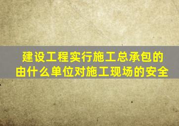 建设工程实行施工总承包的由什么单位对施工现场的安全