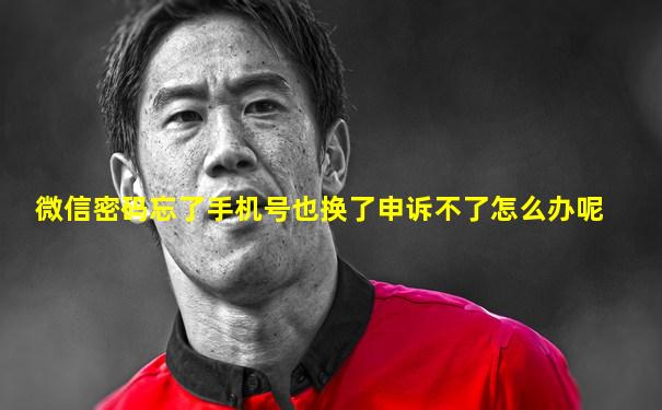 微信密码忘了手机号也换了申诉不了怎么办呢