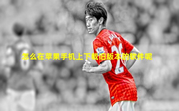 怎么在苹果手机上下载旧版本的软件呢