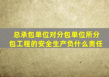 总承包单位对分包单位所分包工程的安全生产负什么责任