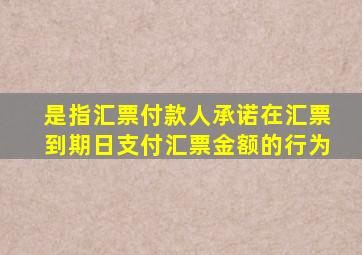 是指汇票付款人承诺在汇票到期日支付汇票金额的行为