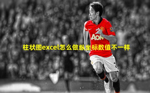 柱状图excel怎么做纵坐标数值不一样