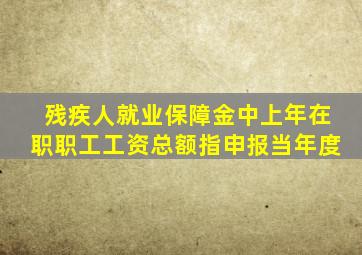 残疾人就业保障金中上年在职职工工资总额指申报当年度