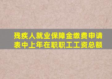 残疾人就业保障金缴费申请表中上年在职职工工资总额