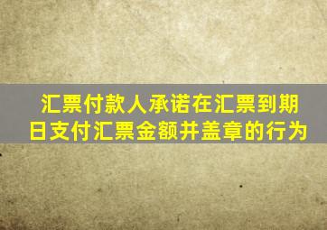 汇票付款人承诺在汇票到期日支付汇票金额并盖章的行为
