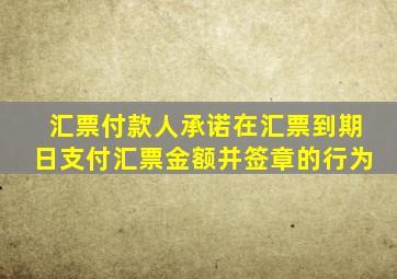 汇票付款人承诺在汇票到期日支付汇票金额并签章的行为