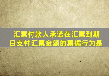 汇票付款人承诺在汇票到期日支付汇票金额的票据行为是
