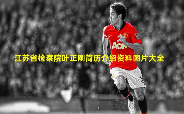 江苏省检察院叶正刚简历介绍资料图片大全