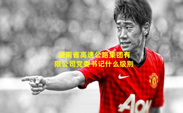 湖南省高速公路集团有限公司党委书记什么级别