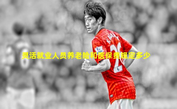 灵活就业人员养老险和医保费规定多少
