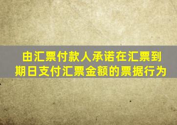 由汇票付款人承诺在汇票到期日支付汇票金额的票据行为